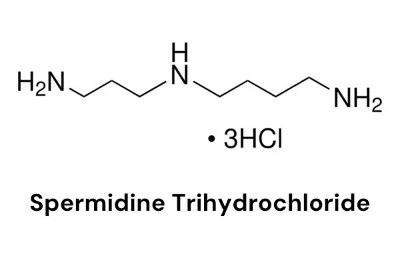 Spermidine Trihydrochloride Spermidine Trihydrochloride